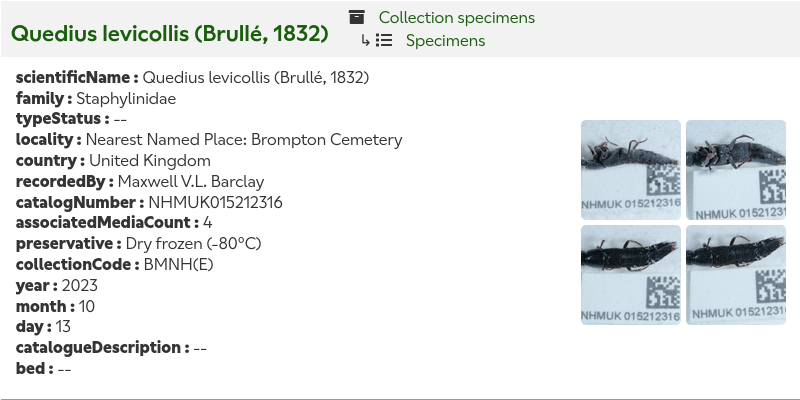 A screenshot of one record from the list results view. The name of the specimen is in large text at the top, with two smaller links next to it for the dataset and resource. Underneath, the record details are on the left side and four images are in a small 2 by 2 grid on the right.