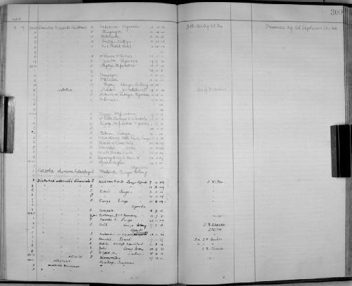 Cisticola chiniana heterophrys - Zoology Accessions Register: Aves (Skins): 1921 - 1923: page 309