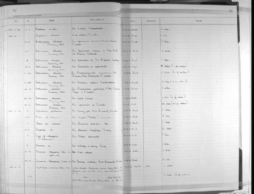 Davainea Meggitt, 1921 - Zoology Accessions Register: Platyhelminth: 1981 - 1987: page 73