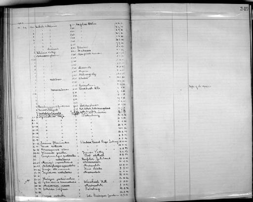 Cercomela tractrac tractrac (Wilkes, 1817) - Zoology Accessions Register: Aves (Skins): 1904 - 1905: page 349