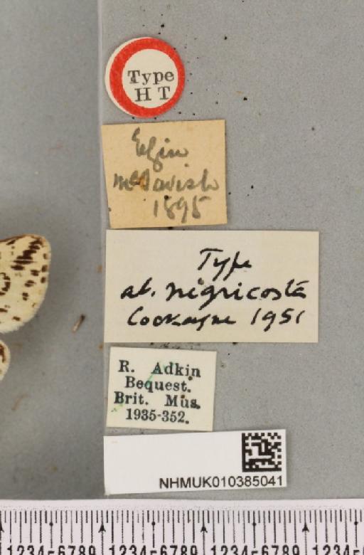 NHMUK_010385041_label_508733