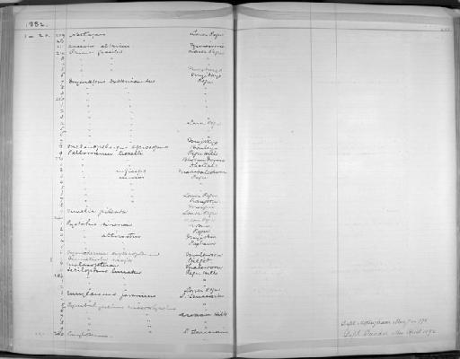 Moupinia altirostris altirostris (Jerdon, 1862) - Zoology Accessions Register: Aves (Skins): 1880 -1884: page 252