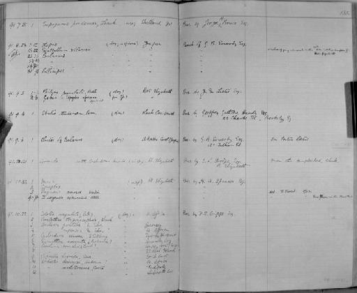 Caprella horrida parvorder Caprellidira G.O. Sars, 1877 - Zoology Accessions Register: Crustacea: 1876 - 1905: page 135