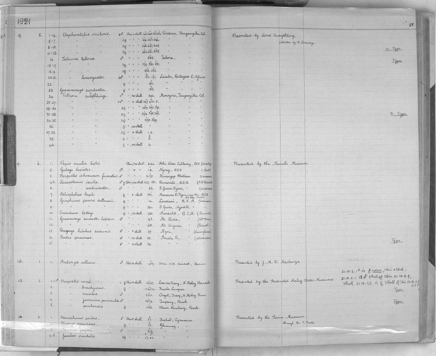 Zoology Accessions Register: Mammals: 1921 - 1929: page 25