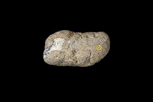 NHMUK_PV_R_12165_view_1_coprolite