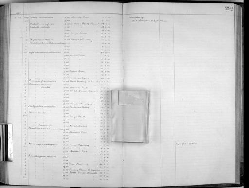 Prinia flaviventris (Delessert, 1840) - Zoology Accessions Register: Aves (Skins): 1916 - 1920: page 292