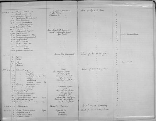 Eulima praecurta Pallary, 1904 - Zoology Accessions Register: Mollusca: 1900 - 1905: page 191