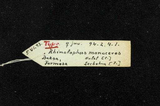 Rhinolophus monoceros Andersen, 1905 - 1894_2_4_1-Rhinolophus_monoceros-Holotype-Skull-label