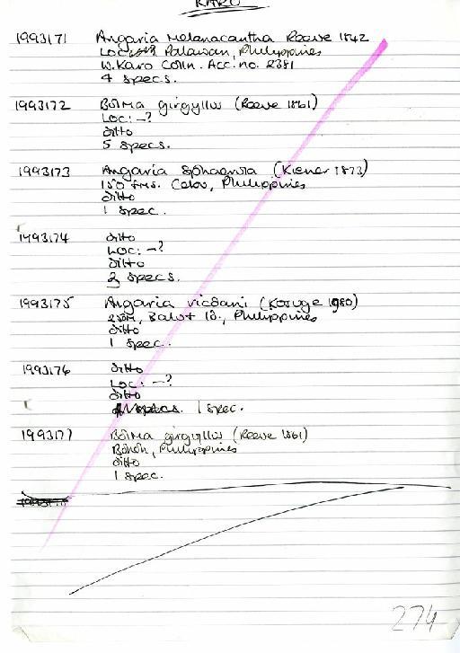 Angaria melanacantha Reeve 1842 - Zoology Accessions Register: Mollusca: 1986 - 1993: page 274