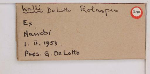 Rolaspis halli De Lotto, 1956 - 010714441_additional