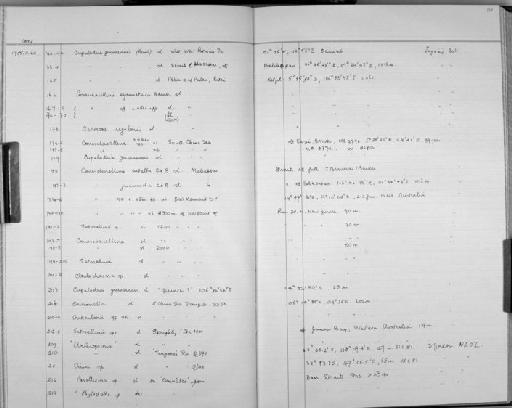 Cribrilaria Canu & Bassler, 1929 - Zoology Accessions Register: Bryozoa: 1971 - 1986: page 151