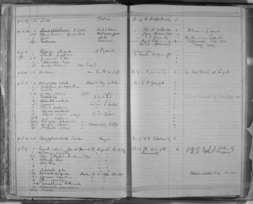 Stellaster incei Gray, 1847 - Zoology Accessions Register: Annelida & Echinoderms: 1884 - 1923: page 56