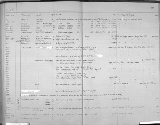 Loxoconcha affinis (Brady) - Zoology Accessions Register: Crustacea (Entomostraca): 1963 - 1982: page 192