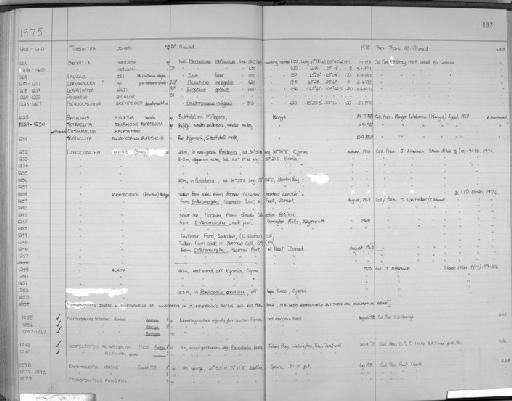 Loxoconcha affinis (Brady) - Zoology Accessions Register: Crustacea (Entomostraca): 1963 - 1982: page 192