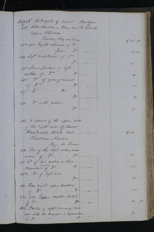 Cervus etueriarium Croizet and Jobert Collection, 1853 - NHM-UK_P_DF118_03_04_0255