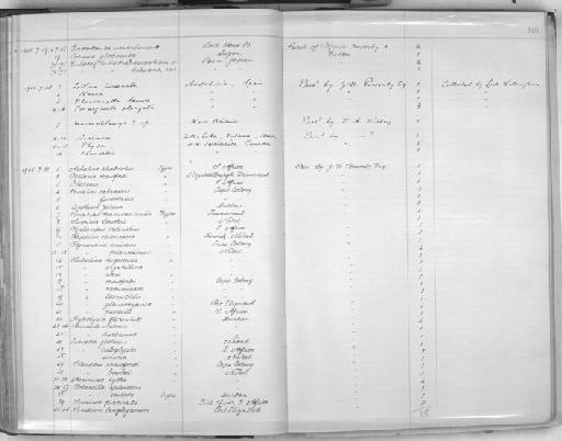 Hapalus catarractae - Zoology Accessions Register: Mollusca: 1900 - 1905: page 101