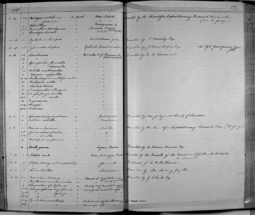 Tetraodon capistrata - Zoology Accessions Register: Fishes: 1912 - 1936: page 171