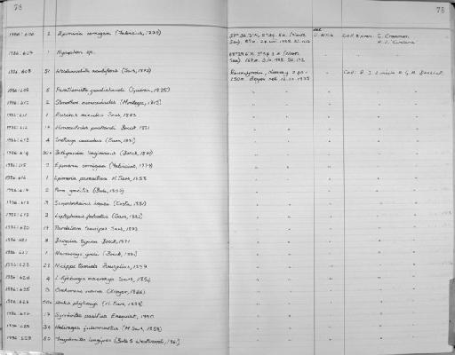 Nymphon Fabricius, 1794 - Zoology Accessions Register: Crustacea: 1984 - 1991: page 78