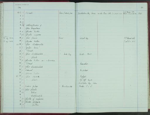 Cytherella compressa (Von Münster) - NHM-UK_P_DF118_04_09_0033