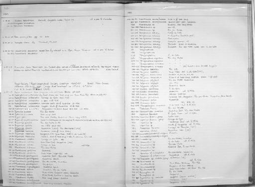 Curimatus sp - Zoology Accessions Register: Fishes: 1971 - 1985: page 423