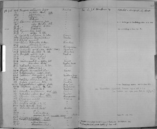 Pilumnus labyrinthicus subsection Heterotremata section Eubrachyura Miers, 1884 - Zoology Accessions Register: Crustacea: 1876 - 1905: page 143