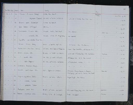 Uvigerina angustiformis Vella, 1957 - NHM-UK_P_DF118_04_14_0115