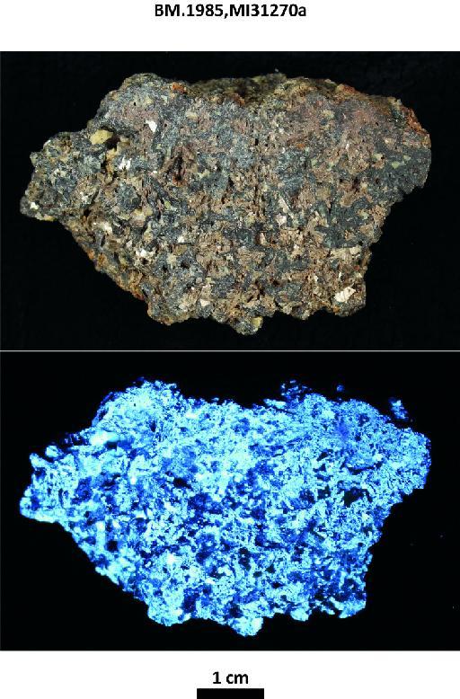 Wolframite-scheelite greisen from the wall of a vein in granite - BM.1985,MI31270a photographs