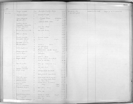 Nectarinia jugularis australis - Zoology Accessions Register: Aves (Skins): 1902 - 1904: page 282