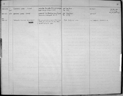 Indosquilla manihinei Ingle & Merrett, 1971 - Zoology Accessions Register: Crustacea: 1969 - 1976: page 10