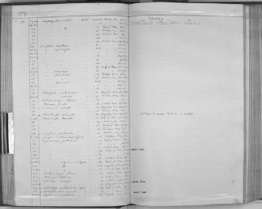 Ceratoscopelus townsendi (Eigenmann & Eigenmann, 1889) - Zoology Accessions Register: Fishes: 1937 - 1960: page 47