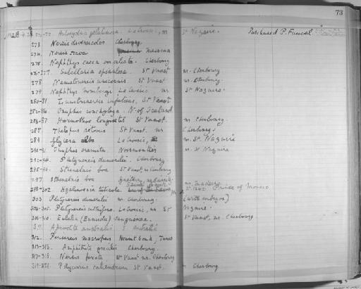 Polycirrus caliendrum Claparede, 1870 - Zoology Accessions Register: Annelida & Echinoderms: 1924 - 1936: page 73