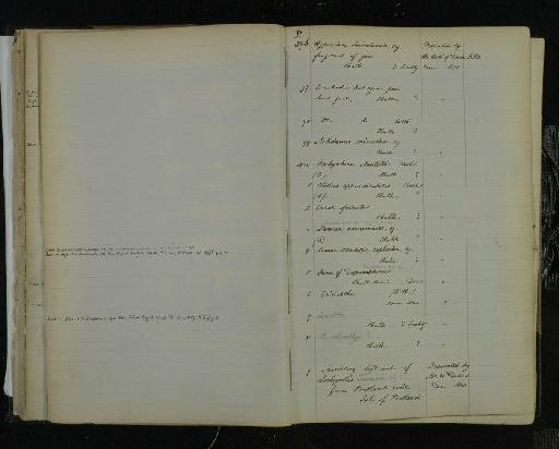 Notidanus microdon infraphylum Gnathostomata Agassiz, 1843 - NHM-UK_P_DF118_03_08_0061