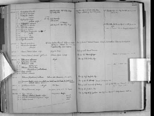 Stenocypris acocyproides Klie, 1933 - Zoology Accessions Register: Crustacea: 1905 - 1935: page 221