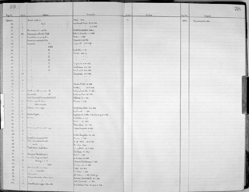 Eulima major - Zoology Accessions Register: Mollusca: 1956 - 1978: page 38