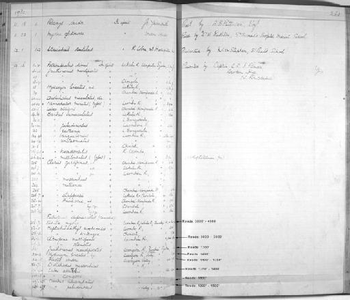 Rutilus rutilus (Linnaeus, 1758) - Zoology Accessions Register: Fishes: 1912 - 1936: page 261
