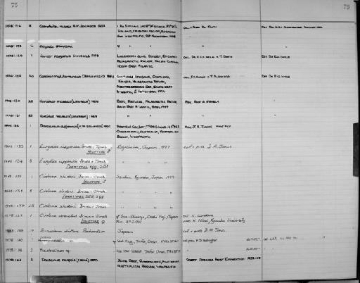 Dardanus deformis (H. Milne Edwards, 1836) - Zoology Accessions Register: Crustacea: 1976 - 1984: page 75