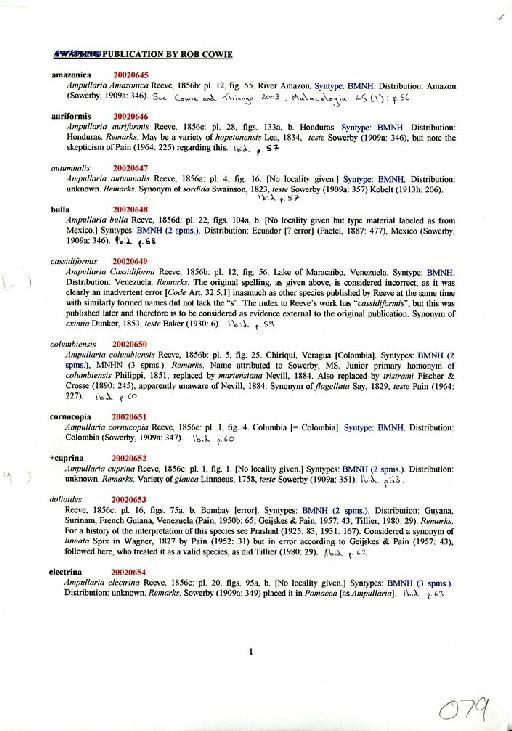 Ampullaria amazonica Reeve, 1856 - Zoology Accessions Register: Mollusca: 2002: page 79