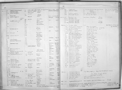 Mormyrus kannume Forsskål, 1775 - Zoology Accessions Register: Fishes: 1971 - 1985: page 267