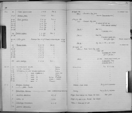 Leiuranus semicinctus (Lay & Bennett, 1839) - Zoology Accessions Register: Fishes: 1961 - 1971: page 214