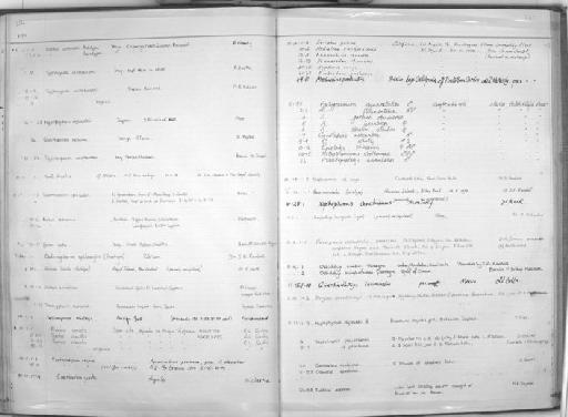 Aphyosemion striatum striatum - Zoology Accessions Register: Fishes: 1971 - 1985: page 237