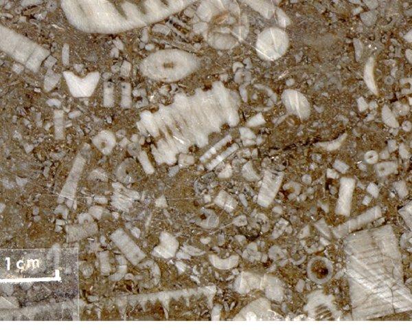 Limestone - nic.0453.tif