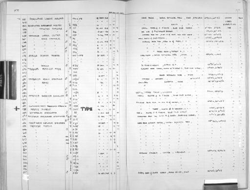 Pipistrellus nanus - Zoology Accessions Register: Mammals: 1967 - 1970: page 127