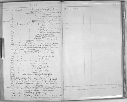 Clathrina coriacea (Montagu, 1814) - Zoology Accessions Register: Spongiida & Protozoa: 1887 - 1918: page 130