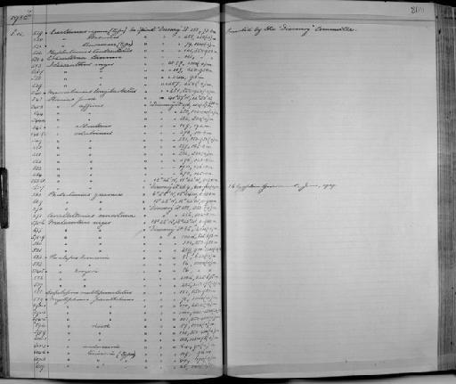 Eustomias (Haploclonus) regani Norman, 1930 - Zoology Accessions Register: Fishes: 1912 - 1936: page 209