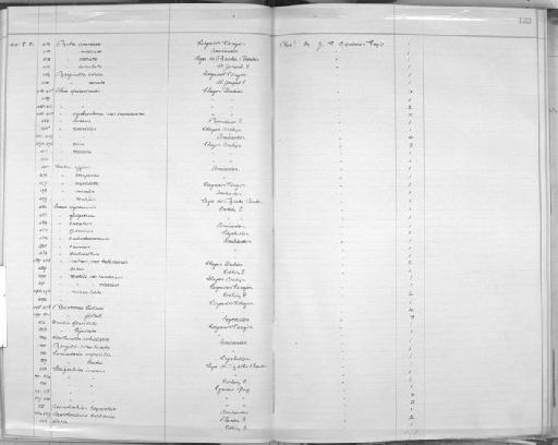 Terebra conspersa Hinds, 1844 - Zoology Accessions Register: Mollusca: 1906 - 1911: page 122