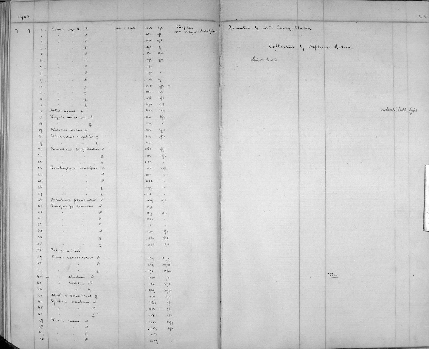 Zoology Accessions Register: Mammals: 1899 - 1903: page 218