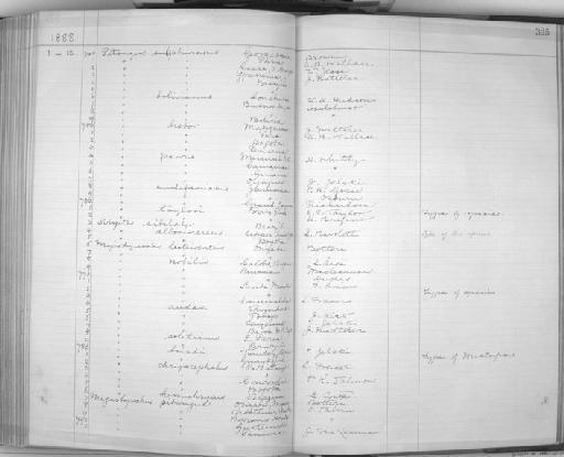 Syristes albocinereus P.L. Sclater and  Salvin, 1880 - Zoology Accessions Register: Aves (Skins): 1884 -1888: page 325