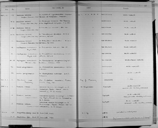Genolinea bowersi (Leiper & Atkinson, 1914) Skrjabin & Guschanskaja, 1955 - Zoology Accessions Register: Platyhelminth: 1971 - 1981: page 37