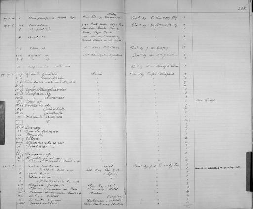 Eulota subterclass Tectipleura Hartmann, 1841 - Zoology Accessions Register: Mollusca: 1894 - 1899: page 255