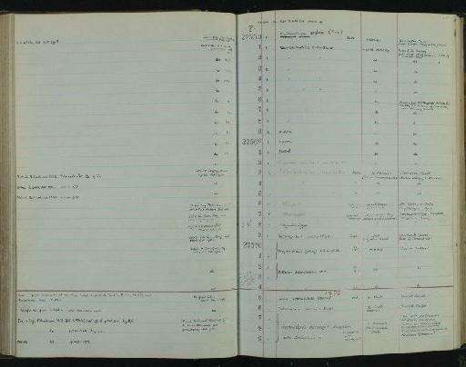 Lamna appendiculata infraphylum Gnathostomata Agassiz - NHM-UK_P_DF118_03_13_0239